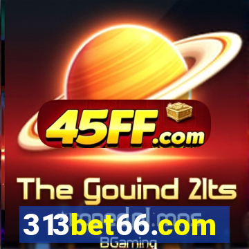 313bet66.com