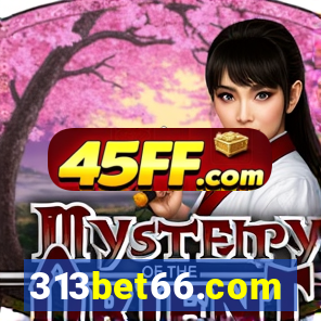 313bet66.com