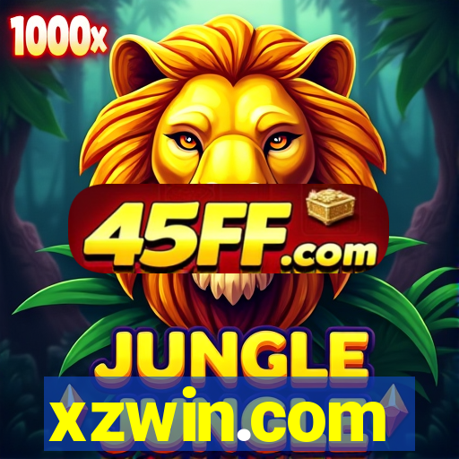 xzwin.com
